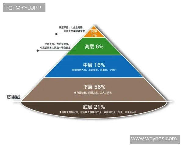 学者深入探讨足球文化与社会影响的多维视角与未来发展趋势