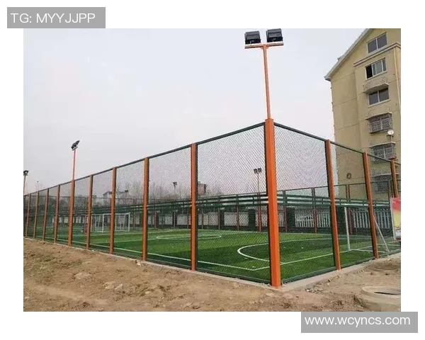 足球场围栏设计与实用效果分析探讨及其在赛事中的重要性