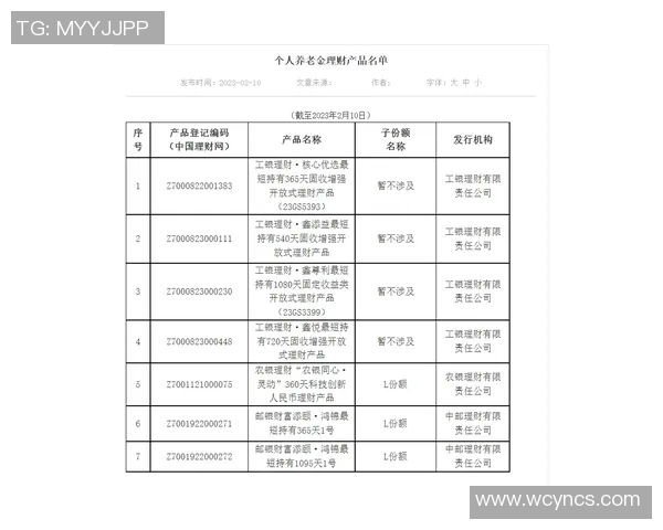 足球队预算表详解及优化策略探讨助力球队财务健康与竞技水平提升