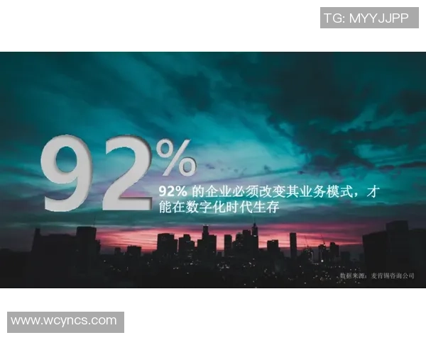 重庆极限运动队的转型之路与挑战分析及未来展望